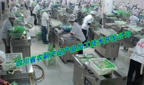 紅薯脯加工設(shè)備供應(yīng)與技術(shù)創(chuàng)新解析 食品科技網(wǎng)助力產(chǎn)業(yè)升級